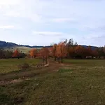Makiem Zasial 10 Dworki
