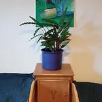 Makiem Zasial 10 Apartment *