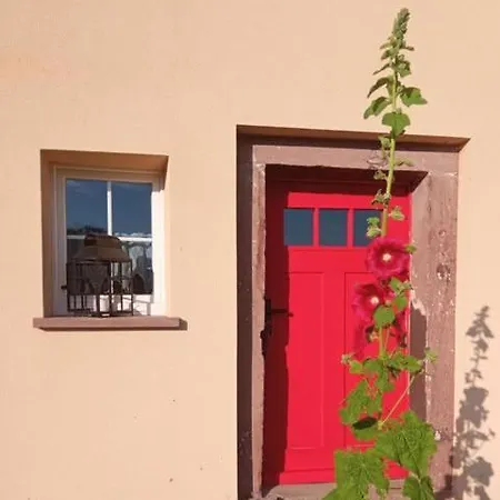 Makiem Zasial Dworki 10 *