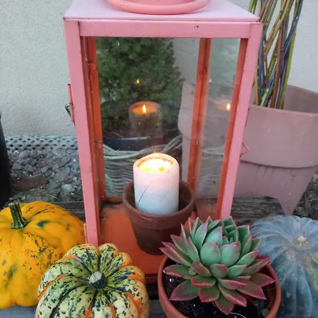 Makiem Zasial Dworki 10 Sosnina