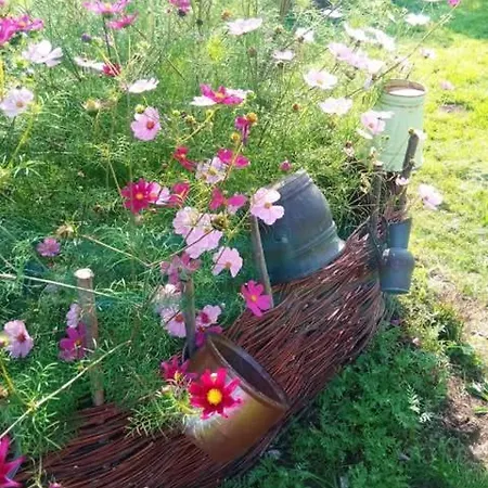 Makiem Zasial Dworki 10 דירה Sosnina