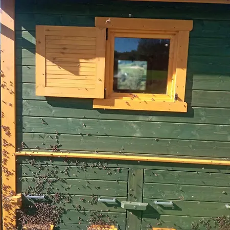 Makiem Zasiał 10 Apartament