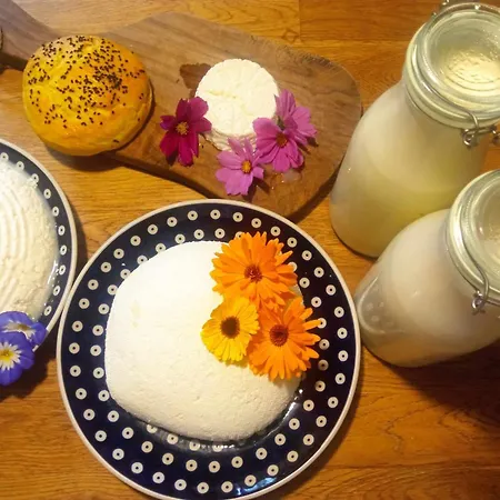 Makiem Zasial Dworki 10 Sosnina