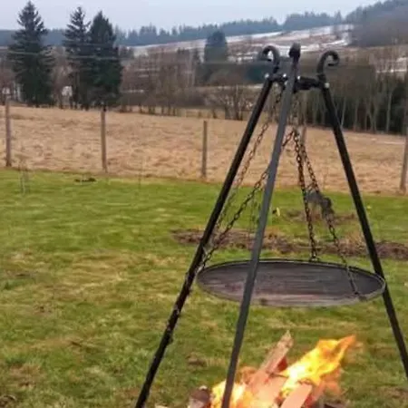 Makiem Zasial Dworki 10 Sosnina