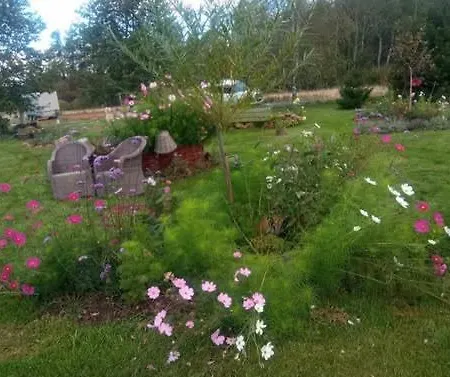 Makiem Zasial Dworki 10