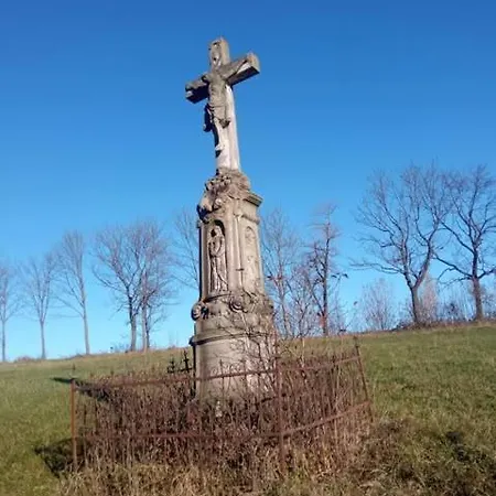 Makiem Zasial Dworki 10 Sosnina