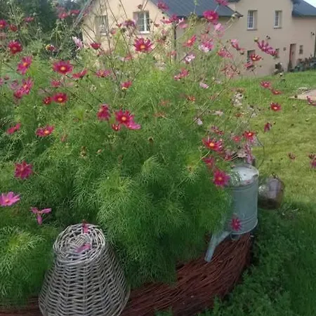 Makiem Zasiał 10 * Dworki