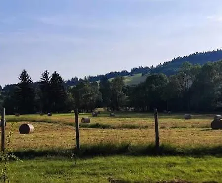 Makiem Zasiał 10