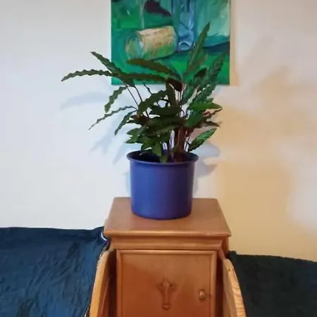 Makiem Zasiał 10 Apartament *