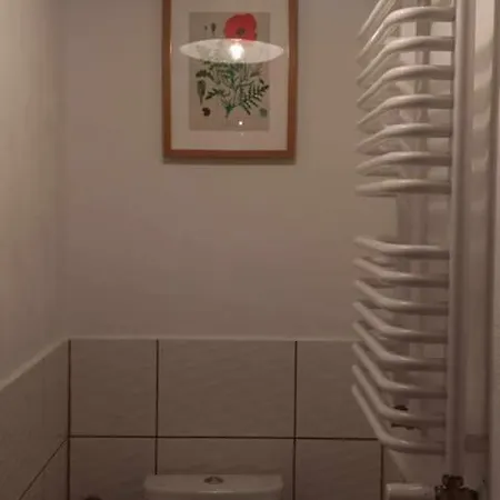 Makiem Zasial Dworki 10 *