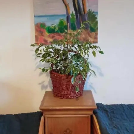 דירה Makiem Zasial Dworki 10 Sosnina