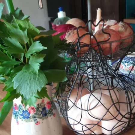 Makiem Zasial Dworki 10 *