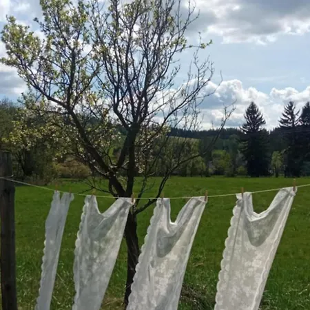 Makiem Zasial Dworki 10 * Sosnina