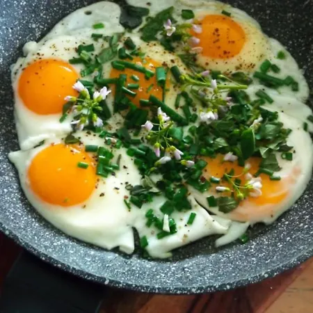 Makiem Zasial Dworki 10 *