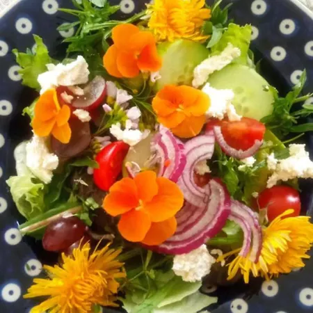 Makiem Zasial Dworki 10 Sosnina