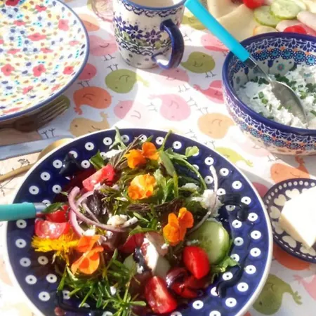 Makiem Zasial Dworki 10 * Sosnina