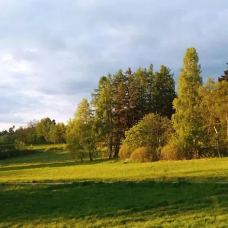 Makiem Zasial Dworki 10 * Sosnina