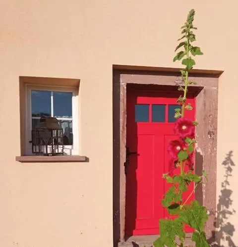 Makiem Zasial Dworki 10 *