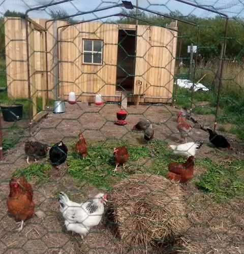 아파트 Makiem Zasial Dworki 10 Sosnina