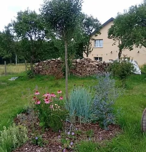 Makiem Zasial Dworki 10 아파트 *