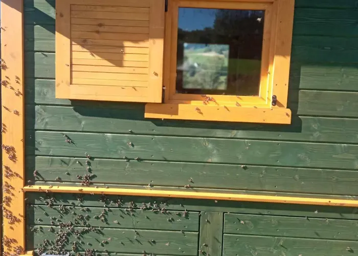 Makiem Zasial Dworki 10 아파트