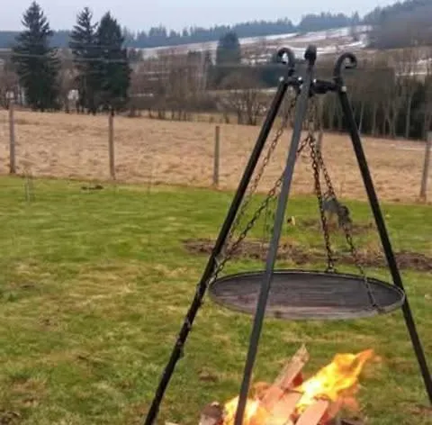 Makiem Zasial Dworki 10 Sosnina