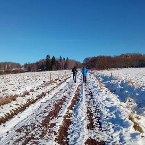 Makiem Zasial Dworki 10 *