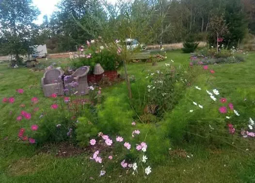 Makiem Zasial Dworki 10