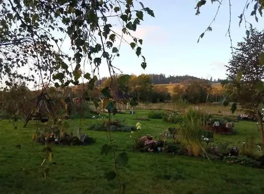 Makiem Zasial Dworki 10 아파트