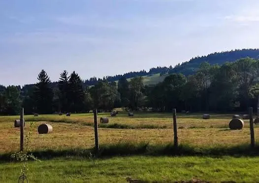 Makiem Zasial Dworki 10