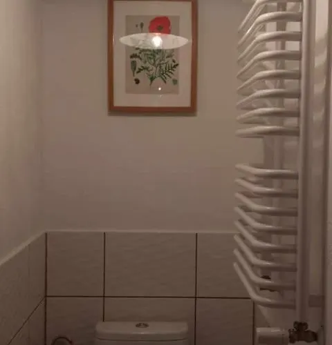 Makiem Zasial Dworki 10 *