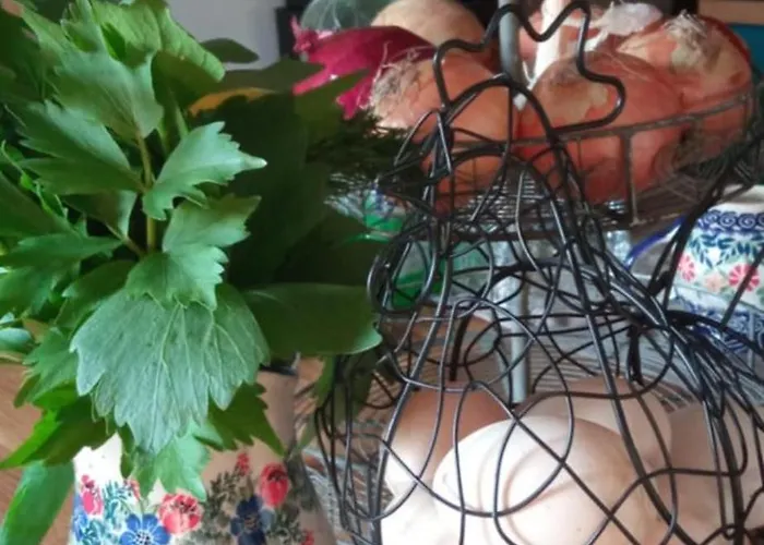 Makiem Zasial Dworki 10 *