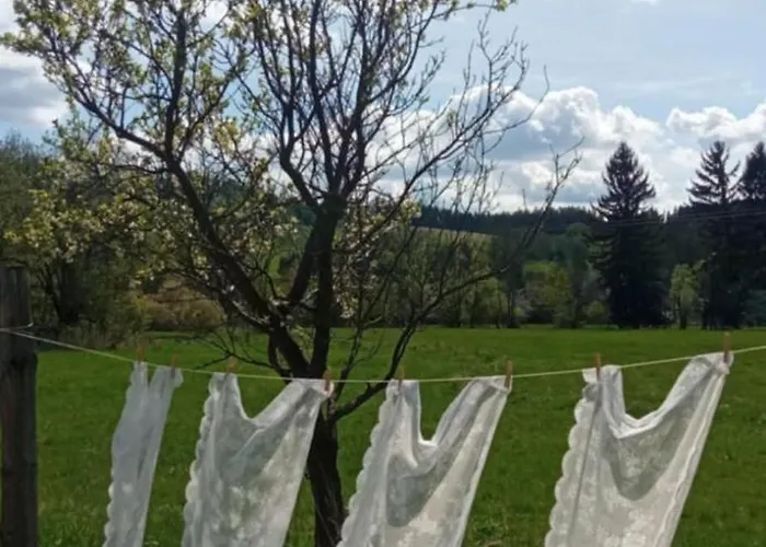 Makiem Zasial Dworki 10 * Sosnina