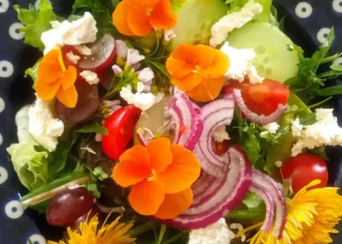 Makiem Zasial Dworki 10 Sosnina