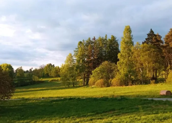 Makiem Zasial Dworki 10 * Sosnina